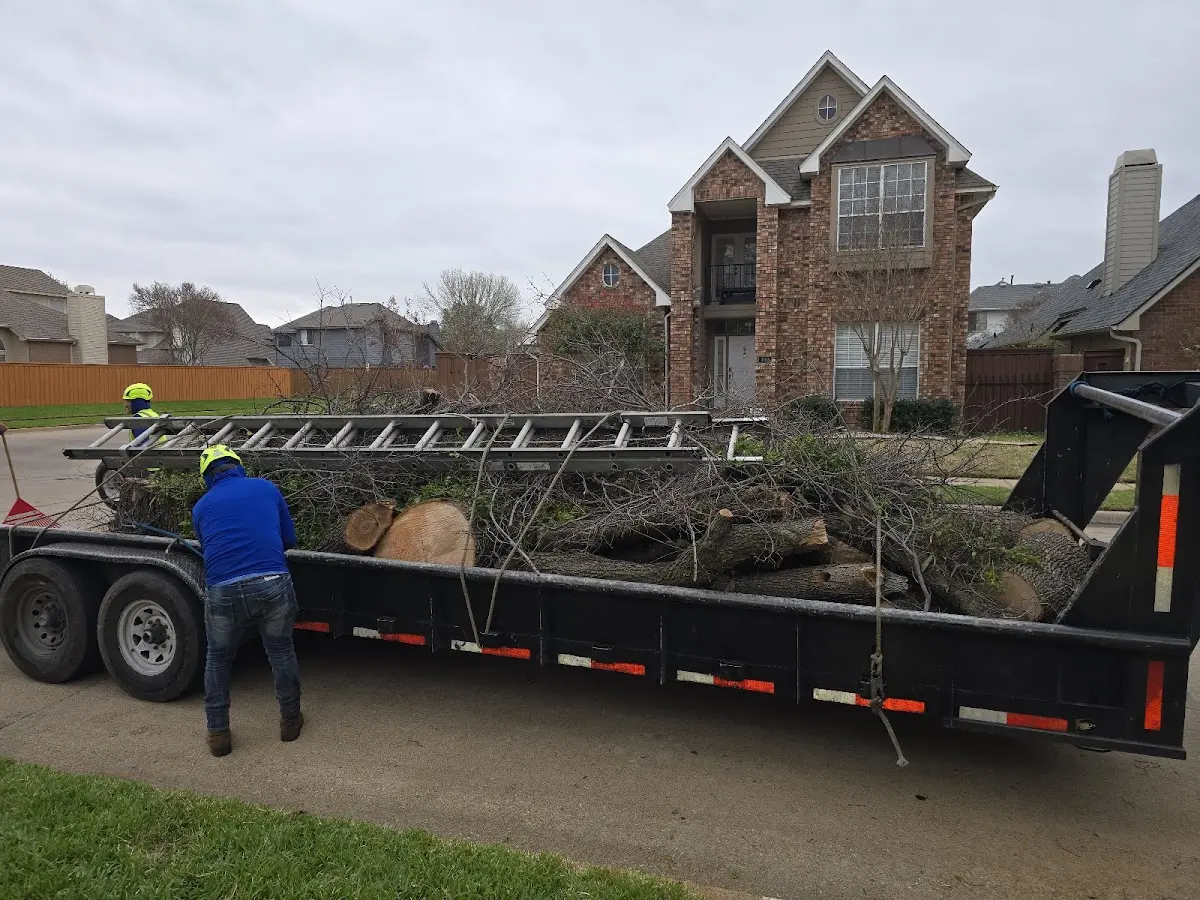 Expert Tree Fertilization with proper safety equipment in Prior Lake